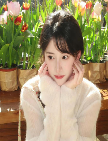 修复重制：泡芙小姐第5季有哪些精彩看点？亮点情节详细解析